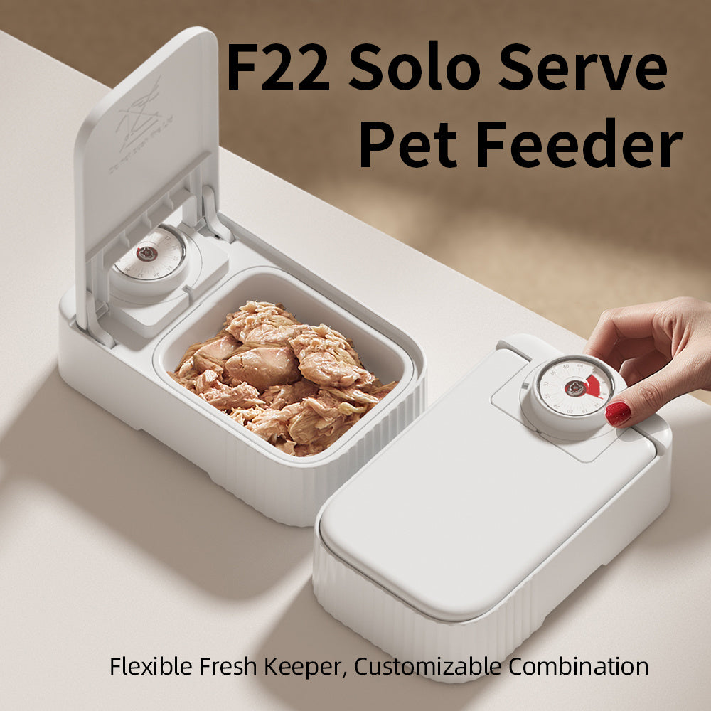 Pet Single Meal Feeder