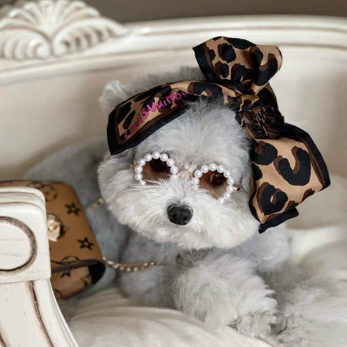 Pet Dog Fashion Pearl Sunglasses